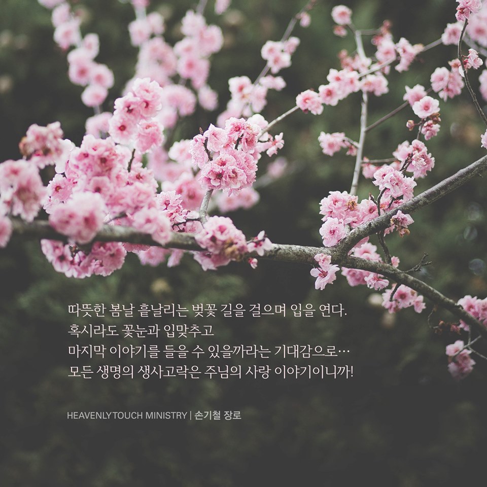 모든 생명의 생사고락은 주님의 사랑 이야기